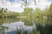 Denkendorfer Erlachsee